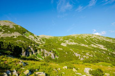 Güneşli bir günde dağların muhteşem manzarası