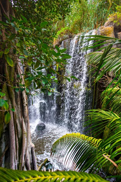 Cachoeira Vista Panorâmica Floresta — Fotografia de Stock