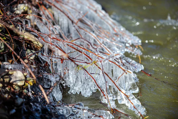 Close Van Ijspegels Winter — Stockfoto