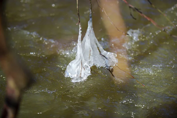 Vue Rapprochée Des Glaces Hiver — Photo