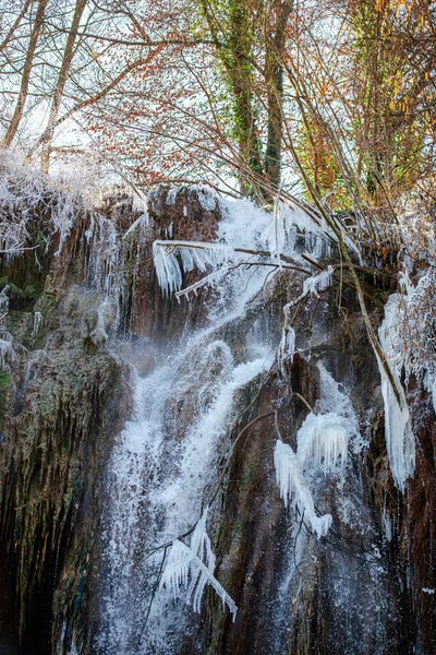 Icicles Tree Close View — Stock Photo, Image