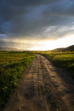 Kırsalda yolu olan güzel bir manzara.