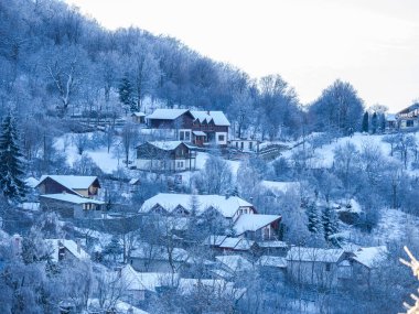 Karla kaplı ağaçlarla kaplı güzel kış manzarası