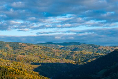 Dağlarda sonbahar ormanı