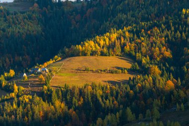 Arka planda dağ sırası olan güzel bir manzara.