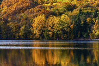 Ağaçlar ve yansımalarla dolu sonbahar manzarası