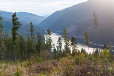Dağları ve ormanı olan güzel bir manzara.