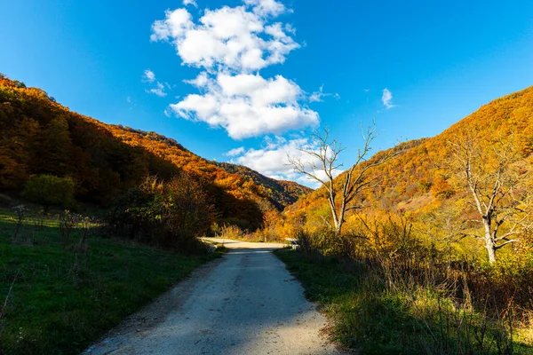 山の中に道がある美しい風景 — ストック写真