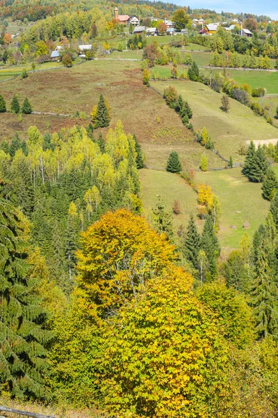 Krásná Krajina Horami Zeleným Lesem — Stock fotografie