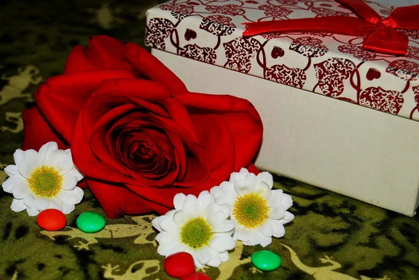 Red rose, white daisies and a gift — Stock Photo, Image