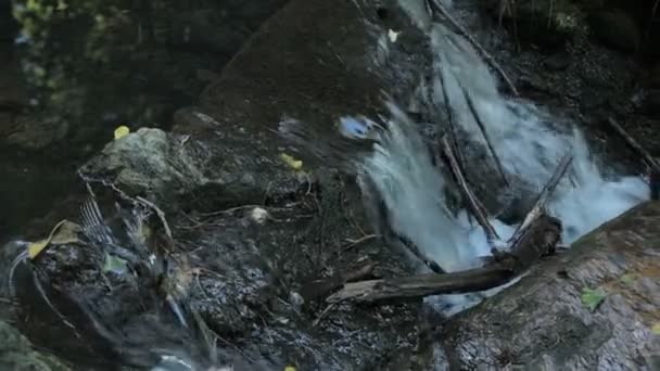 Pequeño arroyo en un parque en París — Vídeos de Stock