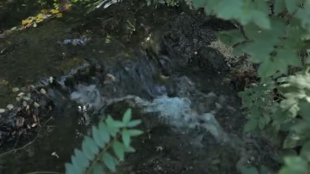 Petit ruisseau dans un parc à Paris 