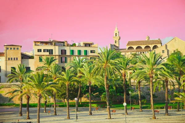 Balear Adaları palma de mallorca