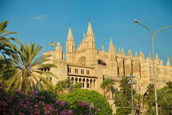 Palma La Seu katedrálist - Baleár-szigetek látványosságai — Stock Fotó