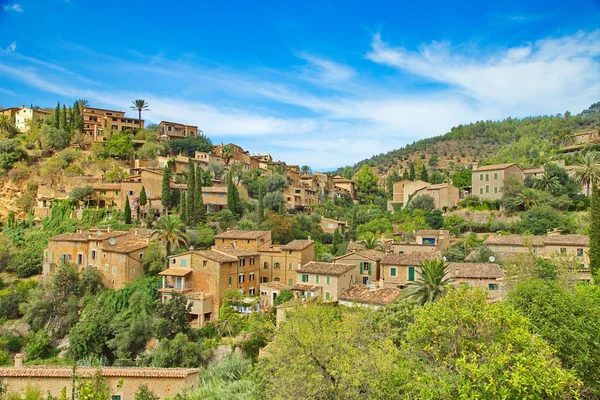 Palma de mallorca Stockfoto