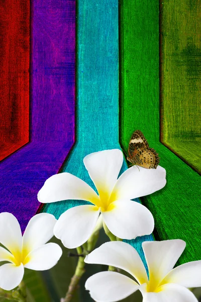 Flower and butterfly on wooden background — Stock Photo, Image