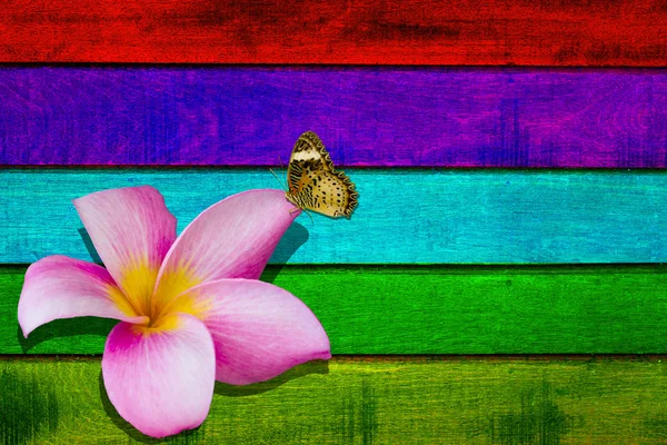 Flower and butterfly on wooden background — Stock Photo, Image