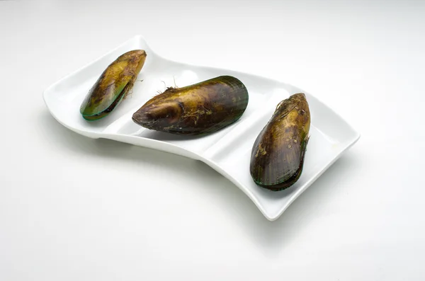 Mussels on a plate — Stock Photo, Image