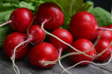 turp domates pancar lahanası