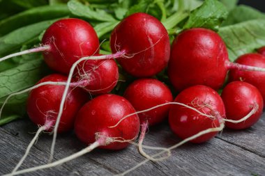 turp domates pancar lahanası