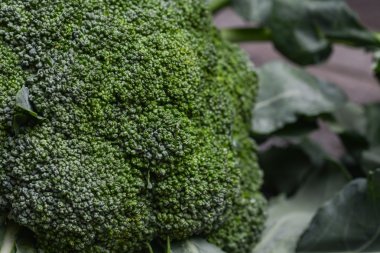 turp domates pancar lahanası