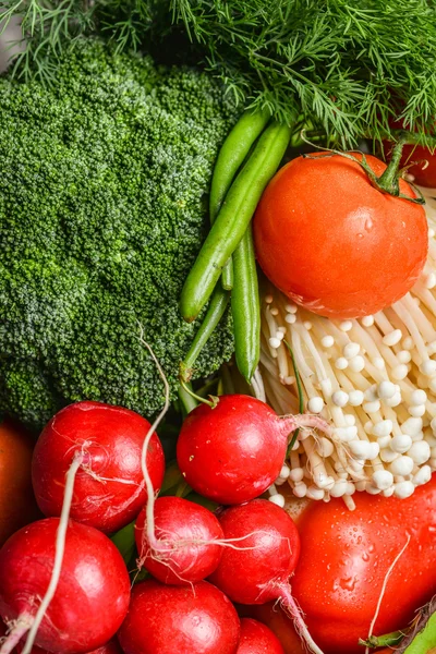 Radishes tomatoes beet sprouts — Stock Photo, Image