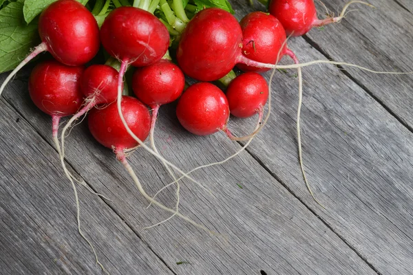 Kiełki rzodkiewki pomidorów buraka — Zdjęcie stockowe