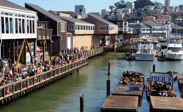 Turisté pozorovat lachtany na molu 39 v san Franciscu — Stock fotografie