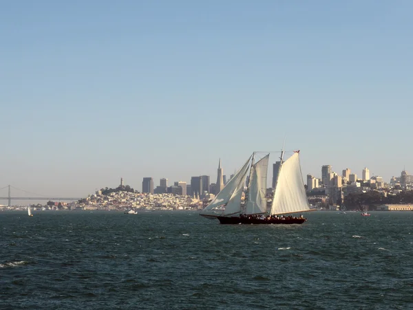 Zeilen in de baai van san francisco — Stockfoto