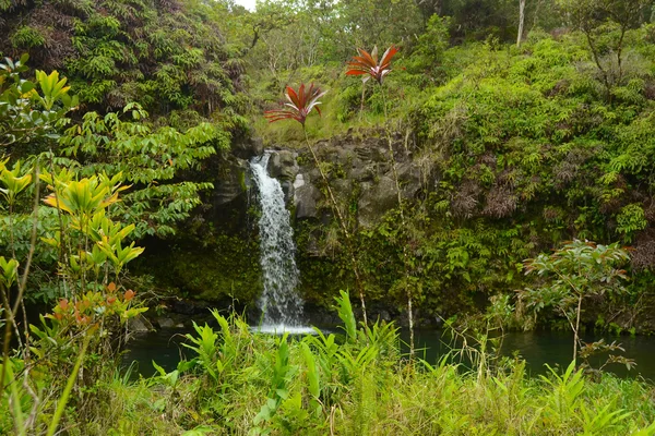 Exotic waterfall — Stock Photo, Image