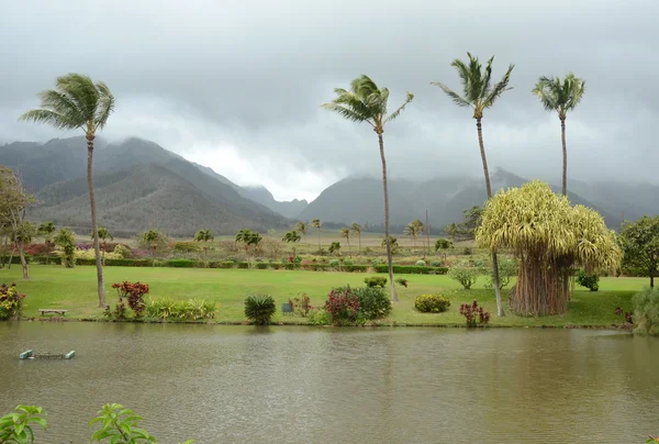 Tropická krajina z maui, Havaj — Stock fotografie