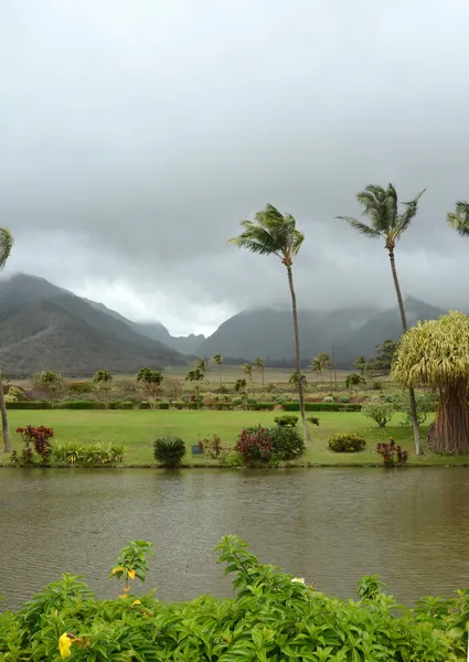 Trópusi táj, Maui, Hawaii — Stock Fotó