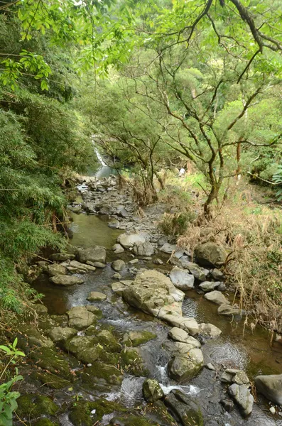 Waterstream 在夏威夷毛伊岛 — 图库照片