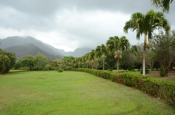 Cenário exótico de Maui, Havaí — Fotografia de Stock