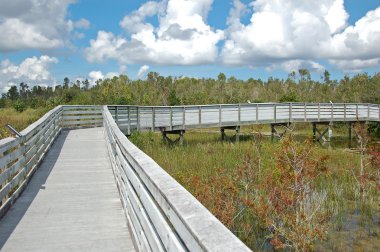 Boardwalk everglades bataklık Park