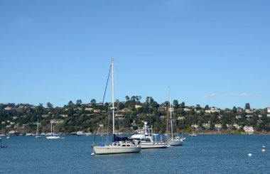 Sausalito, california sahil şeridi