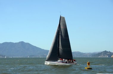 San Francisco körfezinde yelkenli.