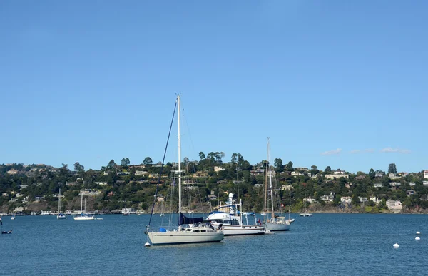 Sausalito, California coastline — Stock Photo, Image