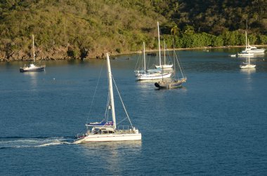 egzotik acarinnean kıyısına yakın tekneler