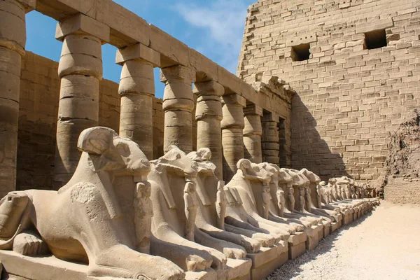 Karnak Tempel Komplex Luxor Egypten Criosphinxes Gränd Vakt Sfinxer Med — Stockfoto