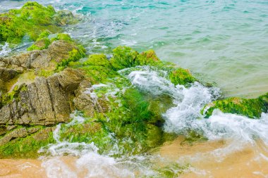 Dalgalar kumsaldaki kayaların üzerinde dalgalar alçak gelgitle kaplı yosunlarla kaplı. Costa Brava, İspanya.
