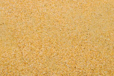 Islak kumsal arka planı ve dokusu 3. İspanya 'nın Costa Brava kentindeki Akdeniz' deki açık kum..