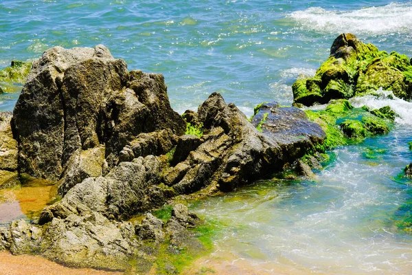 Dalgalar alglerle kaplıyken sahilde kayalar. Lloret de Mar, Costa Brava, İspanya.