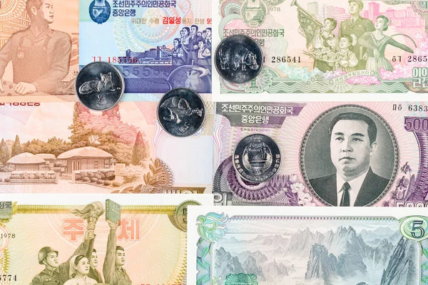 Seven North Korea Won Coins Animals Different Banknotes Background Dprk — 图库照片