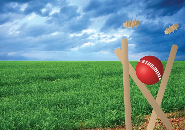 Cricket — Stock Photo, Image