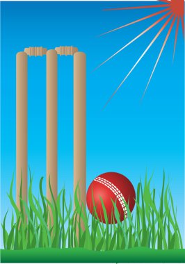 Cricket ball and wickets clipart