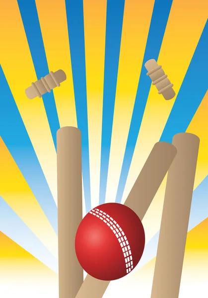 Cricket — Stock Vector