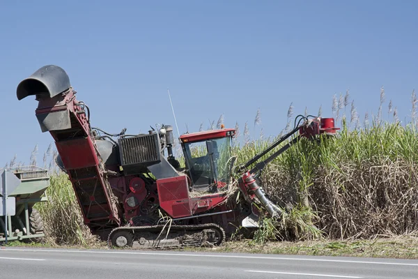 Cane harvester — Stock Photo, Image