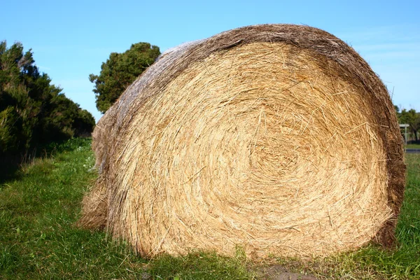 Bale of Hay — Fotografia de Stock