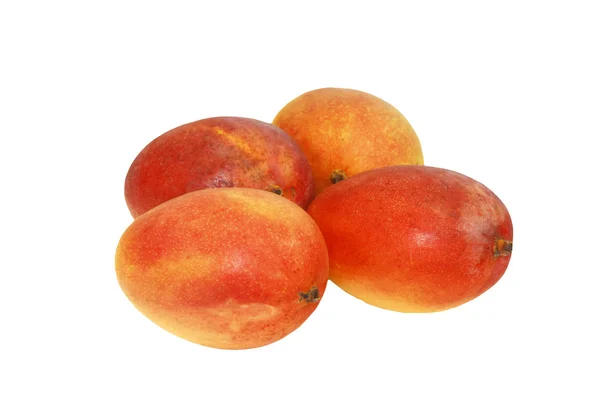 Mango four — Stock Photo, Image